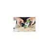 Festool Utsugsanordning OSC-AV - Bild 6