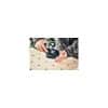 Festool PROTECTOR PR RTS-R 80x133 - Bild 3